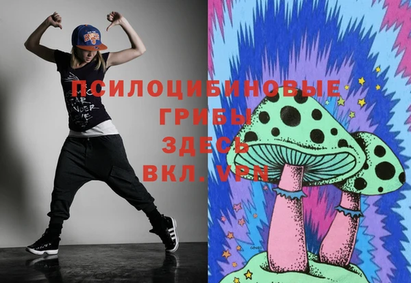 ГАЛЛЮЦИНОГЕННЫЕ ГРИБЫ Бронницы