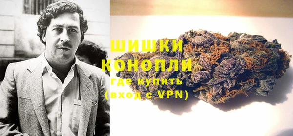 ГАЛЛЮЦИНОГЕННЫЕ ГРИБЫ Бронницы
